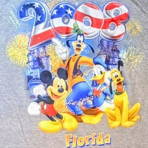 Vintage 2008 Disney World Florida T-shirt, Gray Unisex Large Retro